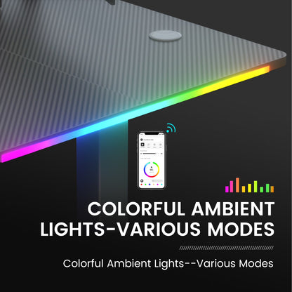 Adjustable Height RGB Electric Sit or Stand Computer Desk with LED Lights, Black
