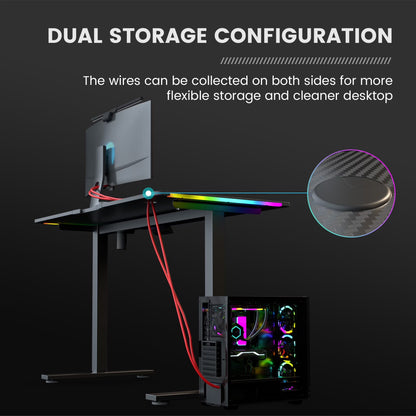 Adjustable Height RGB Electric Sit or Stand Computer Desk with LED Lights, Black