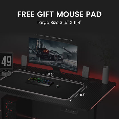 Adjustable Height RGB Electric Sit or Stand Computer Desk with LED Lights, Black